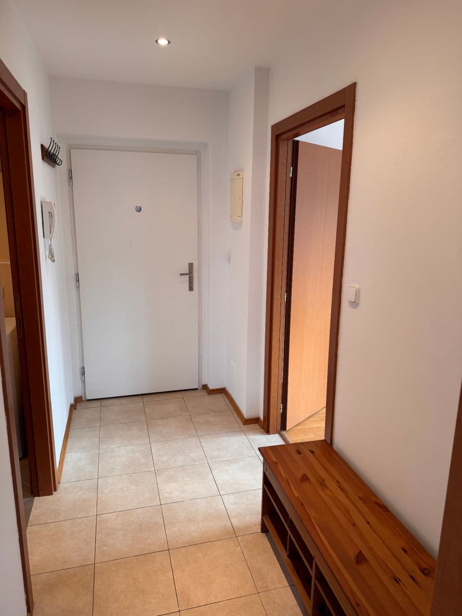 1 bedroom with open-plan kitchen flat to rent, 46 m², Heinemannova, Prague, Prague 1 bedroom with open-plan kitchen flat to rent, 46 m², Heinemannova, Prague, Prague