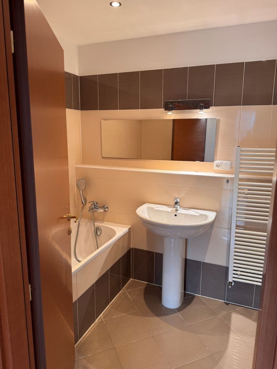 1 bedroom with open-plan kitchen flat to rent, 46 m², Heinemannova, Prague, Prague 1 bedroom with open-plan kitchen flat to rent, 46 m², Heinemannova, Prague, Prague
