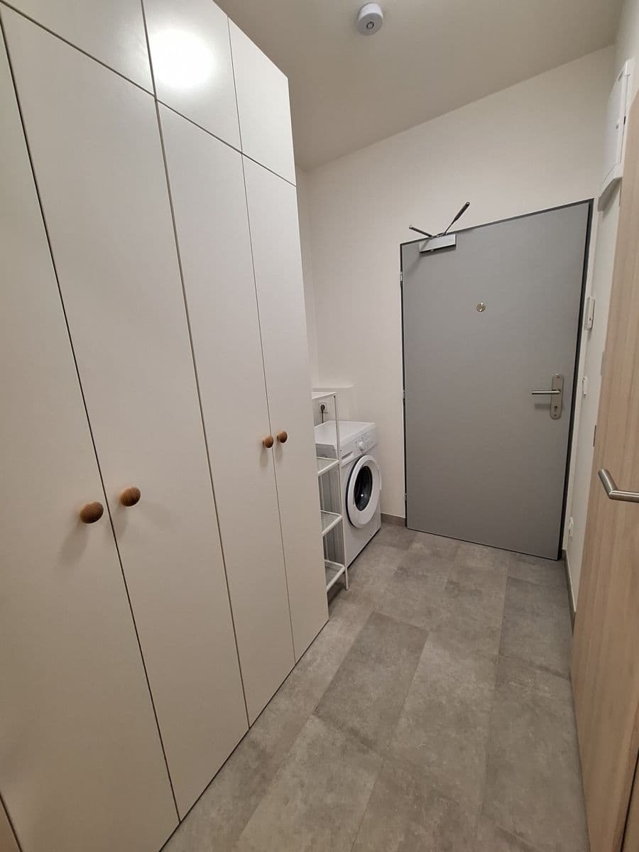 1 bedroom with open-plan kitchen flat to rent, 32 m², Arnošta Staňka, Prague, Prague 1 bedroom with open-plan kitchen flat to rent, 32 m², Arnošta Staňka, Prague, Prague