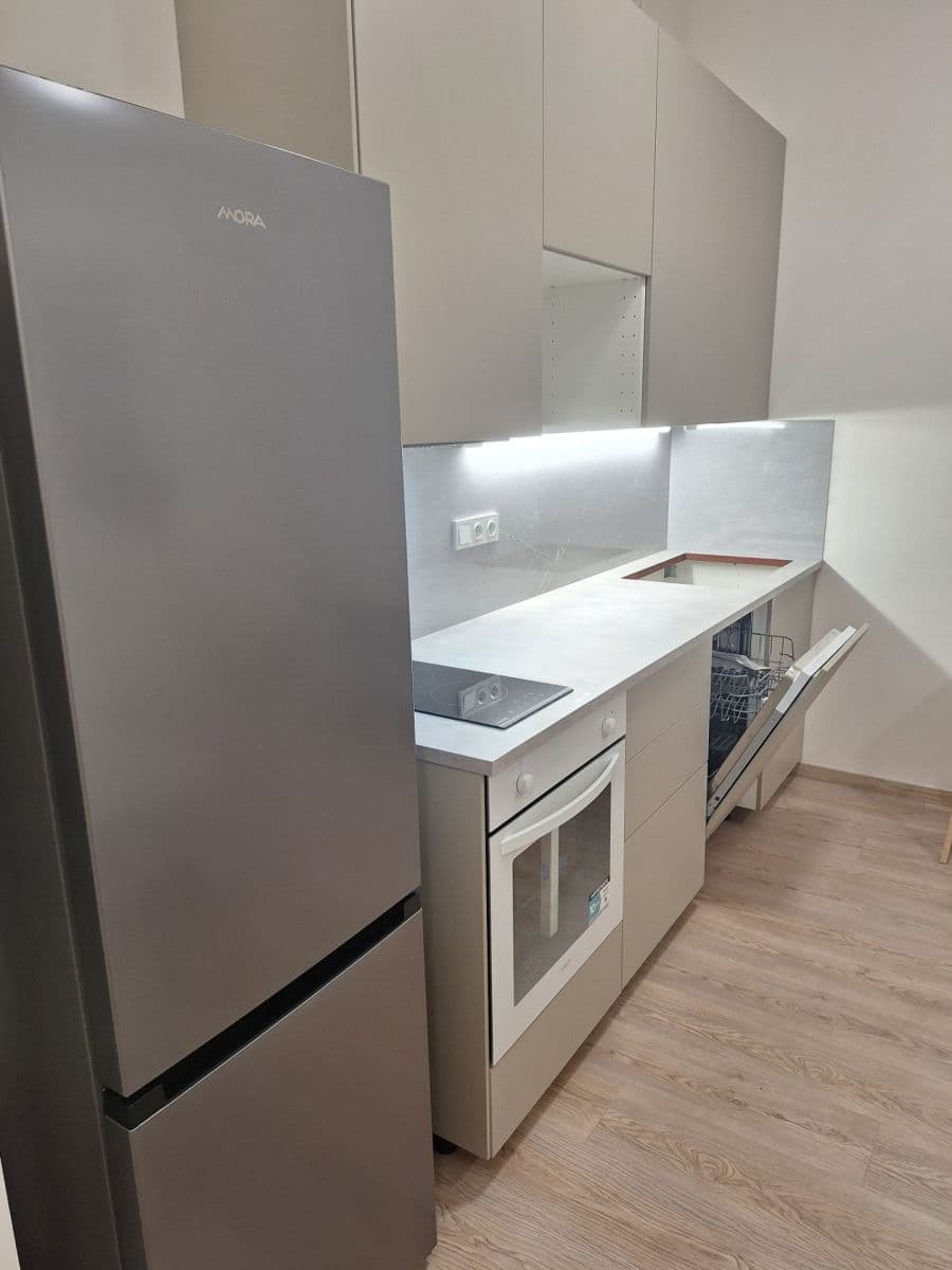 1 bedroom with open-plan kitchen flat to rent, 32 m², Arnošta Staňka, Prague, Prague 1 bedroom with open-plan kitchen flat to rent, 32 m², Arnošta Staňka, Prague, Prague