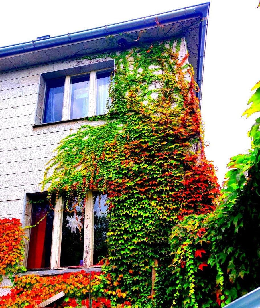 house for sale, 180 m², Berlin Mariendorf, Berlin house for sale, 180 m², Berlin Mariendorf, Berlin