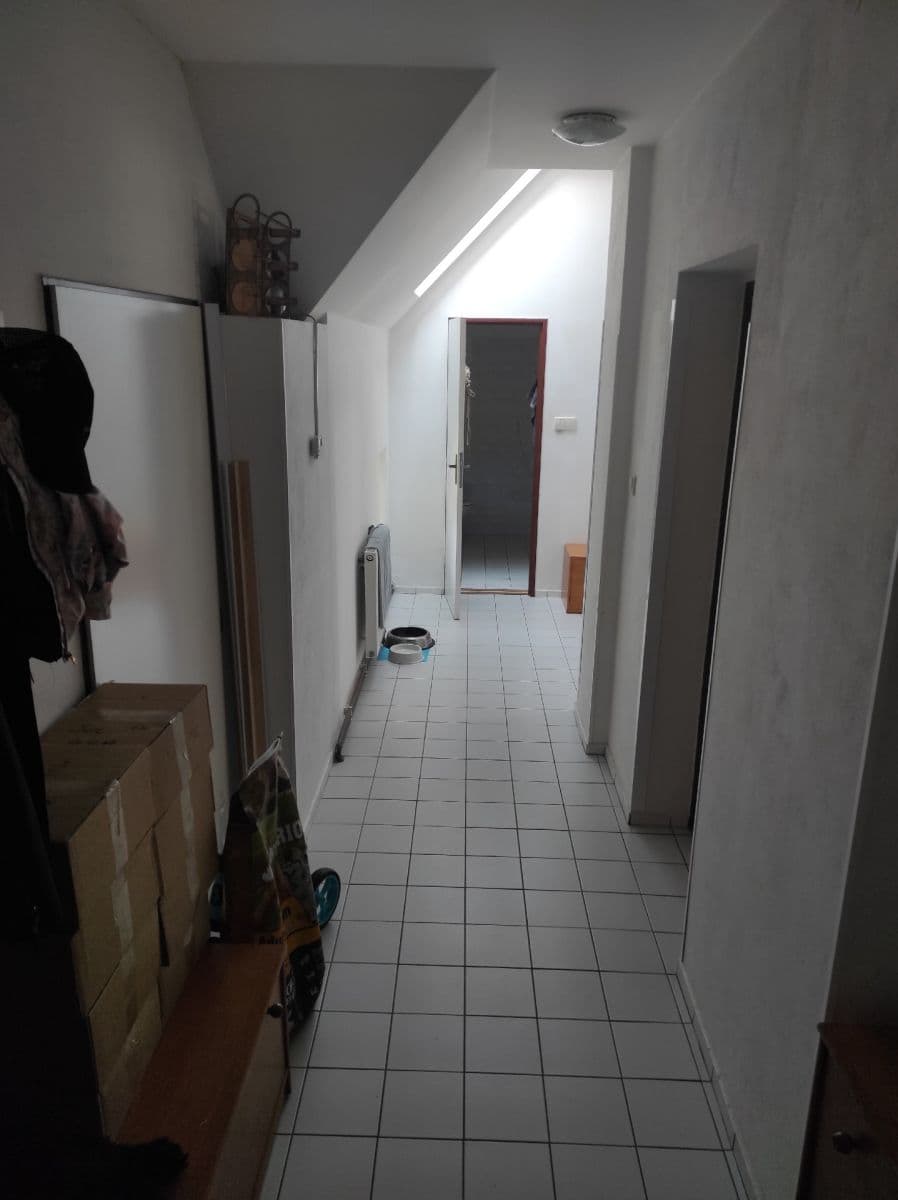 1 bedroom with open-plan kitchen flat to rent, 60 m², Presy, Chrudim, Pardubický Region 1 bedroom with open-plan kitchen flat to rent, 60 m², Presy, Chrudim, Pardubický Region