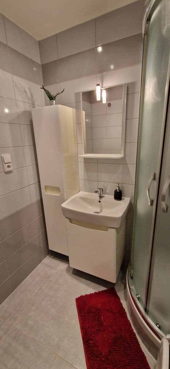 2 bedroom flat to rent, 54 m², Pod Lipami, Prague, Prague 2 bedroom flat to rent, 54 m², Pod Lipami, Prague, Prague