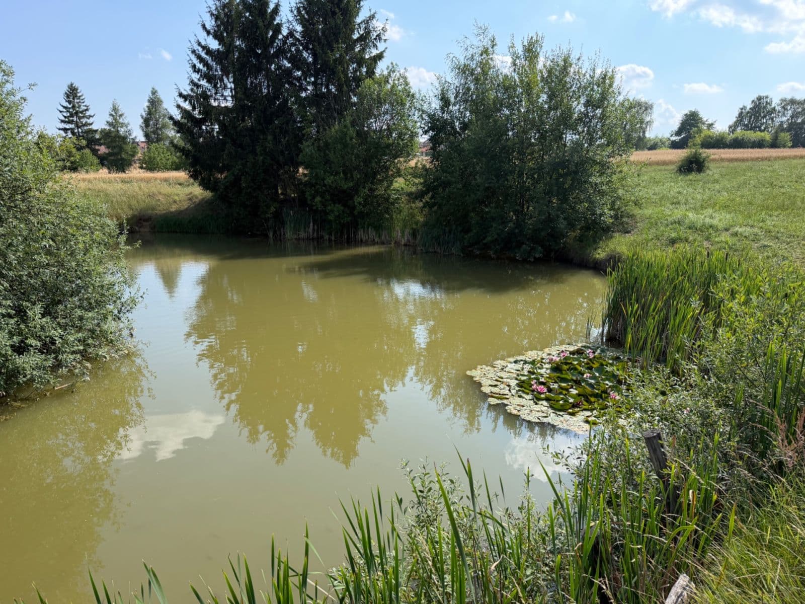 plot for sale, 1,767 m², Rudice, Jihomoravský Region plot for sale, 1,767 m², Rudice, Jihomoravský Region