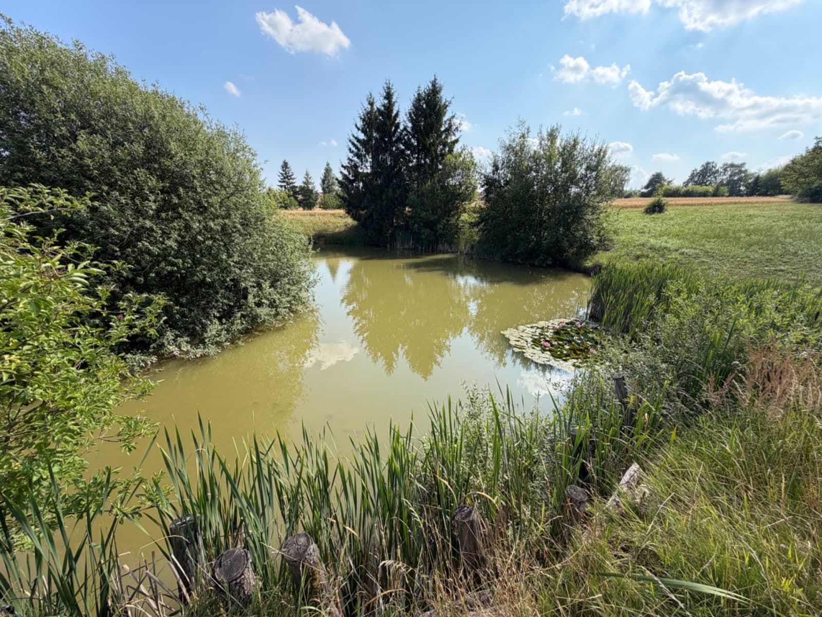 plot for sale, 1,767 m², Rudice, Jihomoravský Region plot for sale, 1,767 m², Rudice, Jihomoravský Region