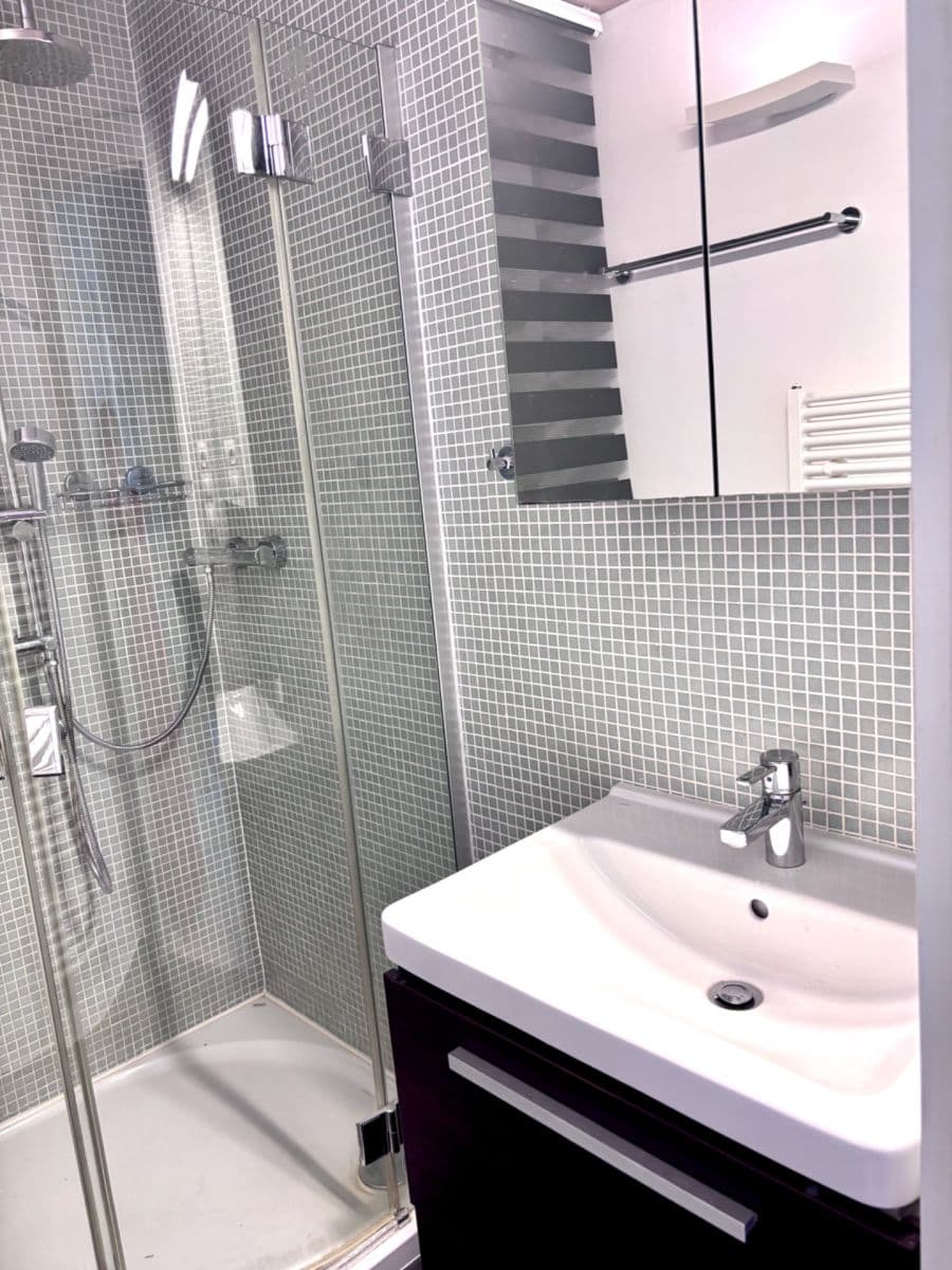 1 bedroom with open-plan kitchen flat to rent, 52 m², Domažlická, Prague, Prague 1 bedroom with open-plan kitchen flat to rent, 52 m², Domažlická, Prague, Prague