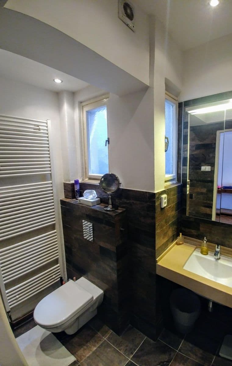 1 bedroom with open-plan kitchen flat to rent, 55 m², U Santošky, Prague, Prague 1 bedroom with open-plan kitchen flat to rent, 55 m², U Santošky, Prague, Prague