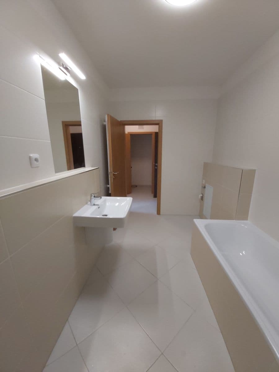1 bedroom with open-plan kitchen flat to rent, 54 m², Vítové, Prague, Prague 1 bedroom with open-plan kitchen flat to rent, 54 m², Vítové, Prague, Prague