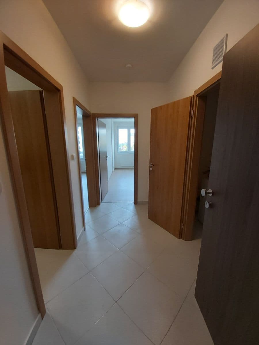 1 bedroom with open-plan kitchen flat to rent, 54 m², Vítové, Prague, Prague 1 bedroom with open-plan kitchen flat to rent, 54 m², Vítové, Prague, Prague