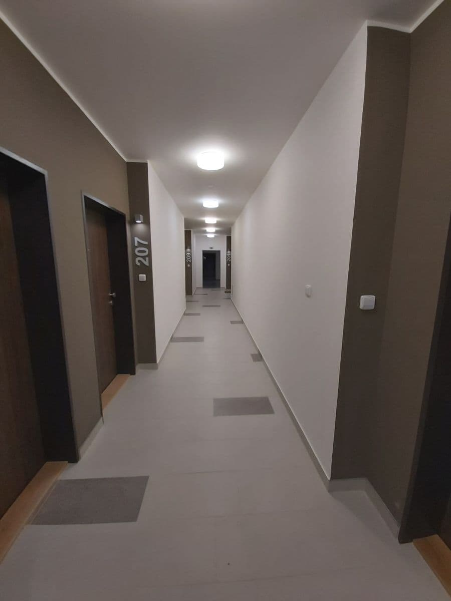 1 bedroom with open-plan kitchen flat to rent, 54 m², Vítové, Prague, Prague 1 bedroom with open-plan kitchen flat to rent, 54 m², Vítové, Prague, Prague
