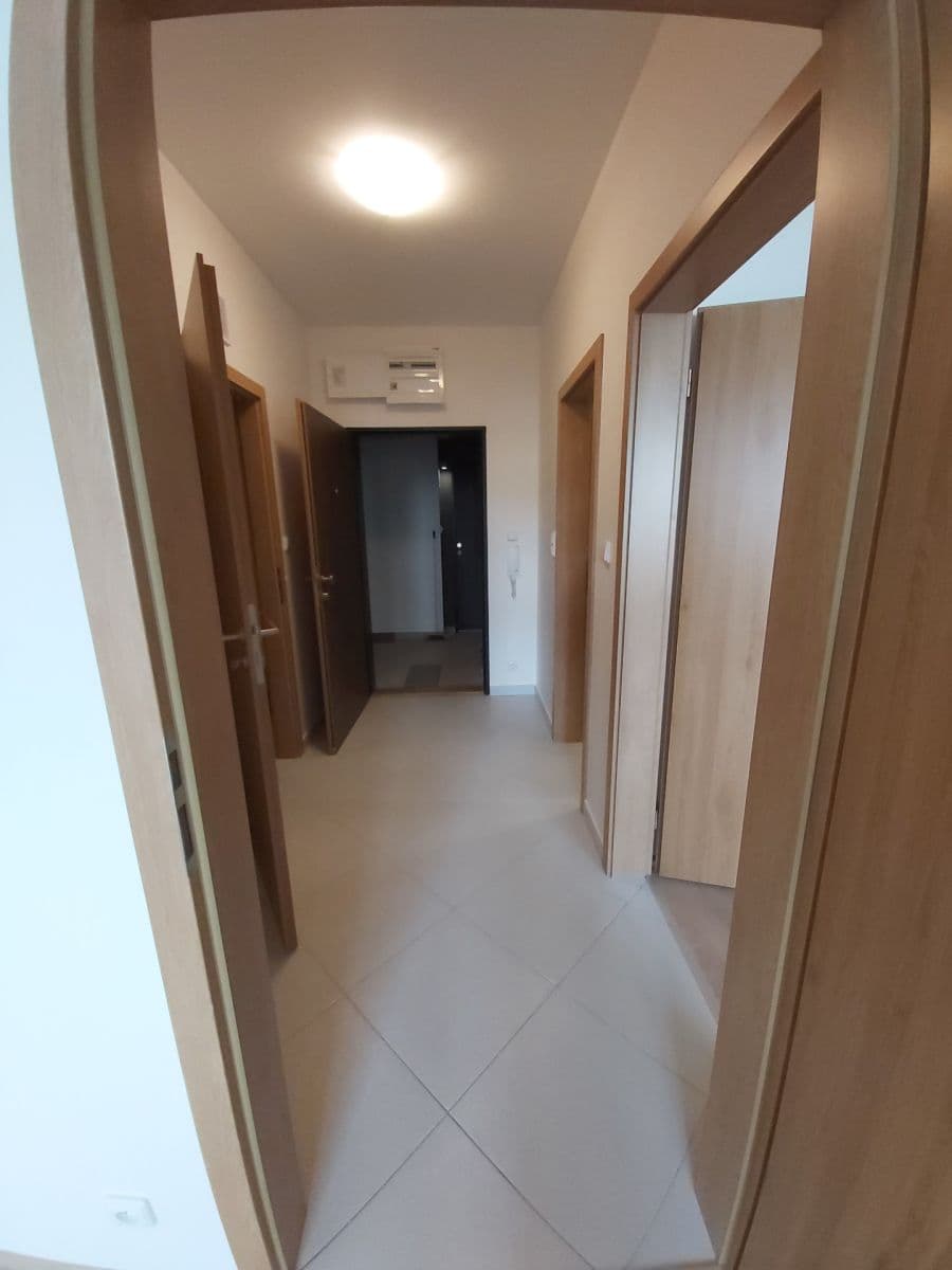 1 bedroom with open-plan kitchen flat to rent, 54 m², Vítové, Prague, Prague 1 bedroom with open-plan kitchen flat to rent, 54 m², Vítové, Prague, Prague
