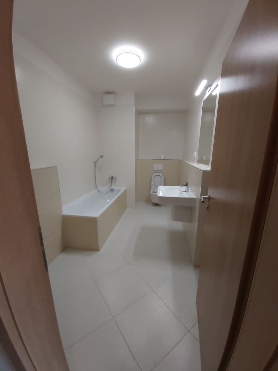 1 bedroom with open-plan kitchen flat to rent, 54 m², Vítové, Prague, Prague 1 bedroom with open-plan kitchen flat to rent, 54 m², Vítové, Prague, Prague