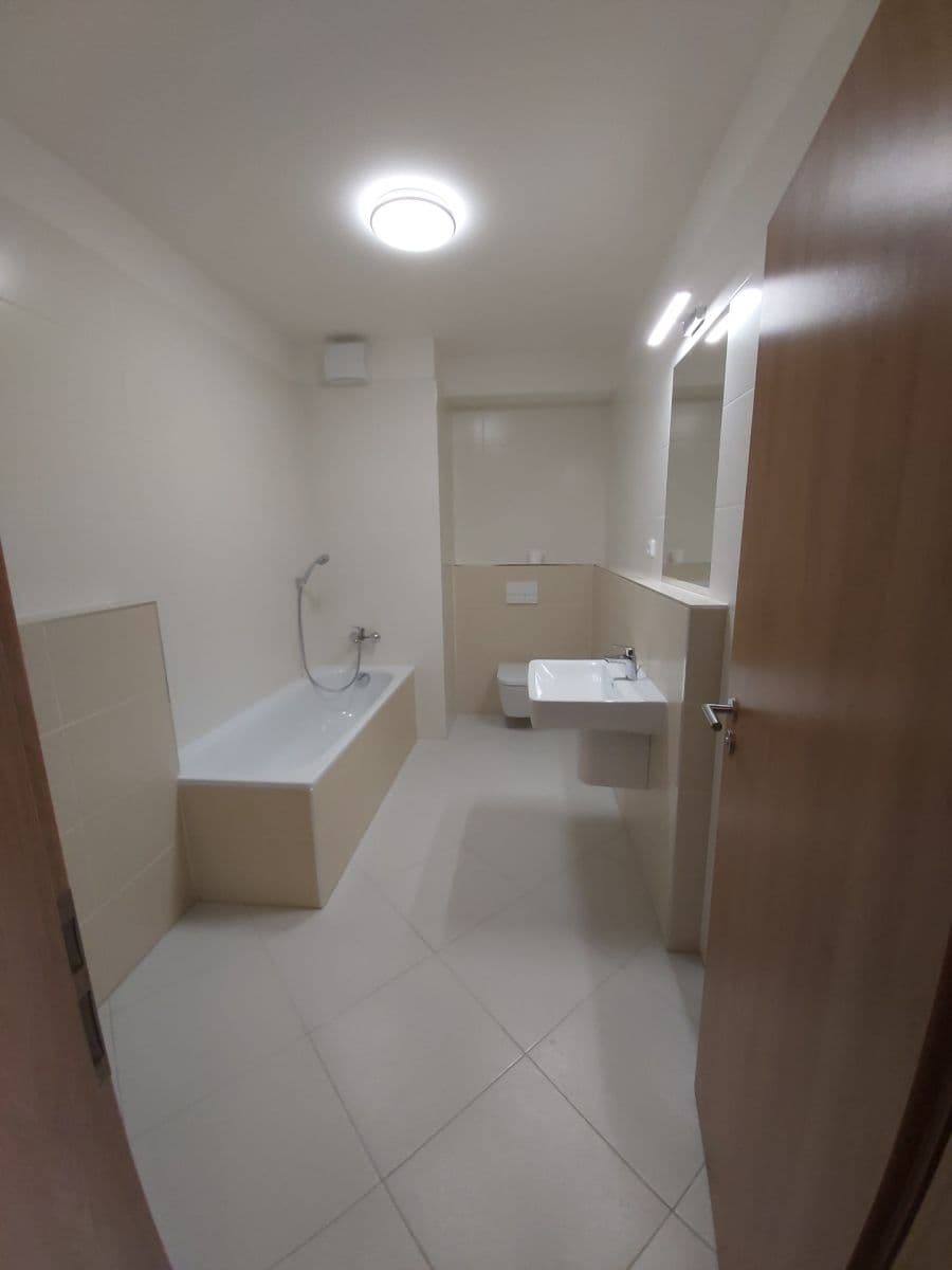 1 bedroom with open-plan kitchen flat to rent, 54 m², Vítové, Prague, Prague 1 bedroom with open-plan kitchen flat to rent, 54 m², Vítové, Prague, Prague