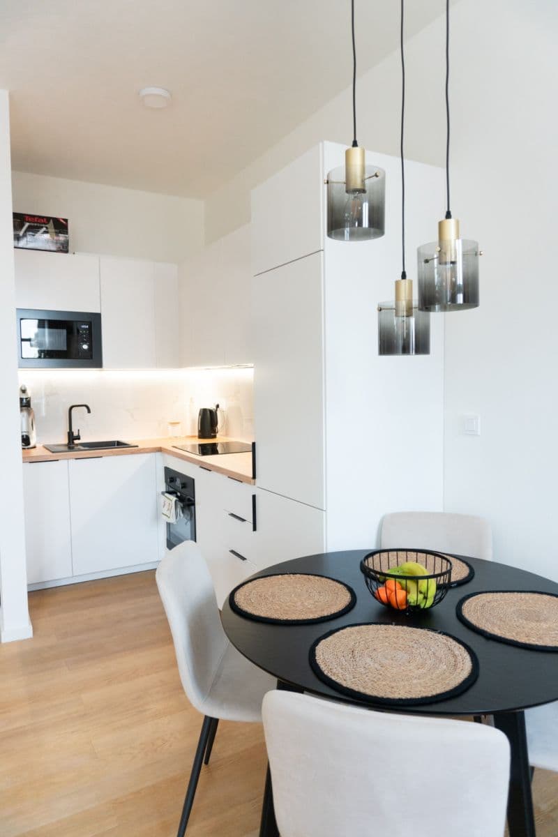 1 bedroom with open-plan kitchen flat to rent, 41 m², Prokopka, Prague, Prague 1 bedroom with open-plan kitchen flat to rent, 41 m², Prokopka, Prague, Prague