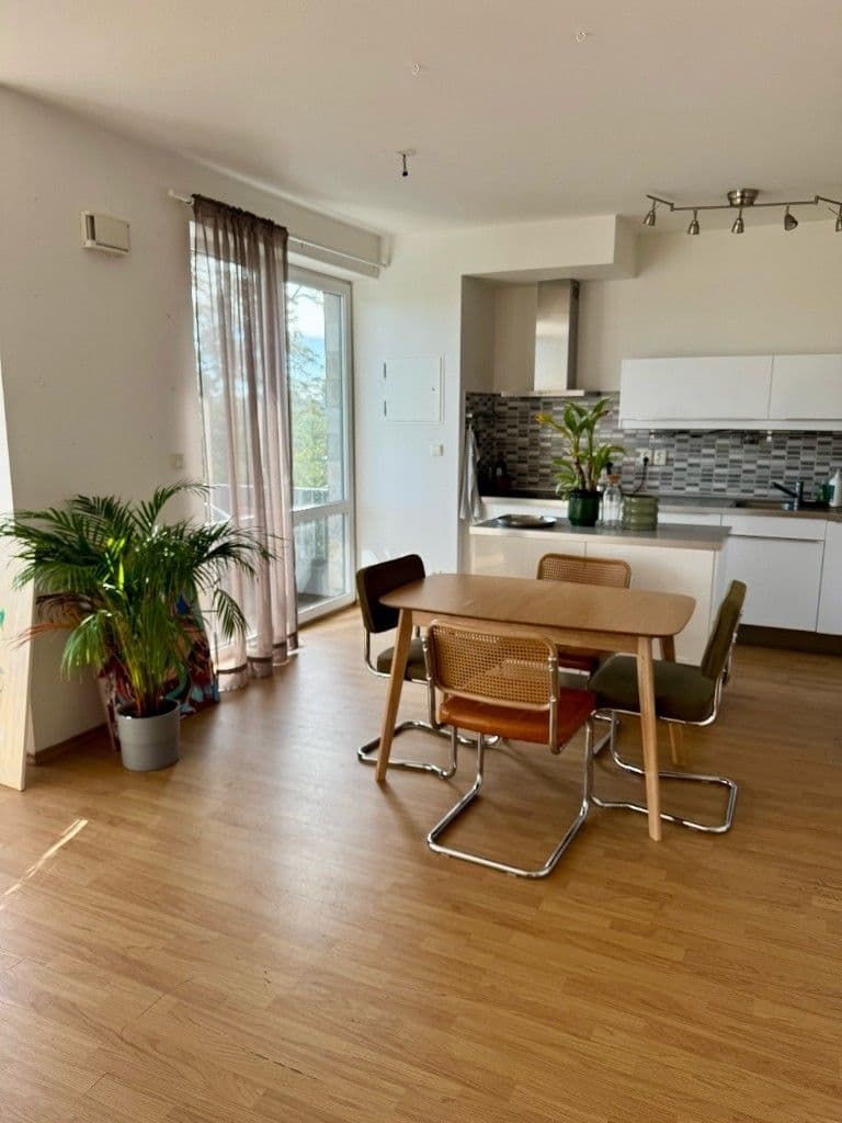 1 bedroom with open-plan kitchen flat for sale, 60 m², Moskevská, Prague, Prague 1 bedroom with open-plan kitchen flat for sale, 60 m², Moskevská, Prague, Prague