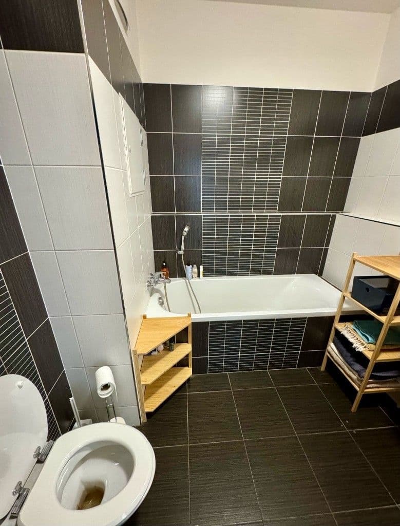 1 bedroom with open-plan kitchen flat for sale, 60 m², Moskevská, Prague, Prague 1 bedroom with open-plan kitchen flat for sale, 60 m², Moskevská, Prague, Prague
