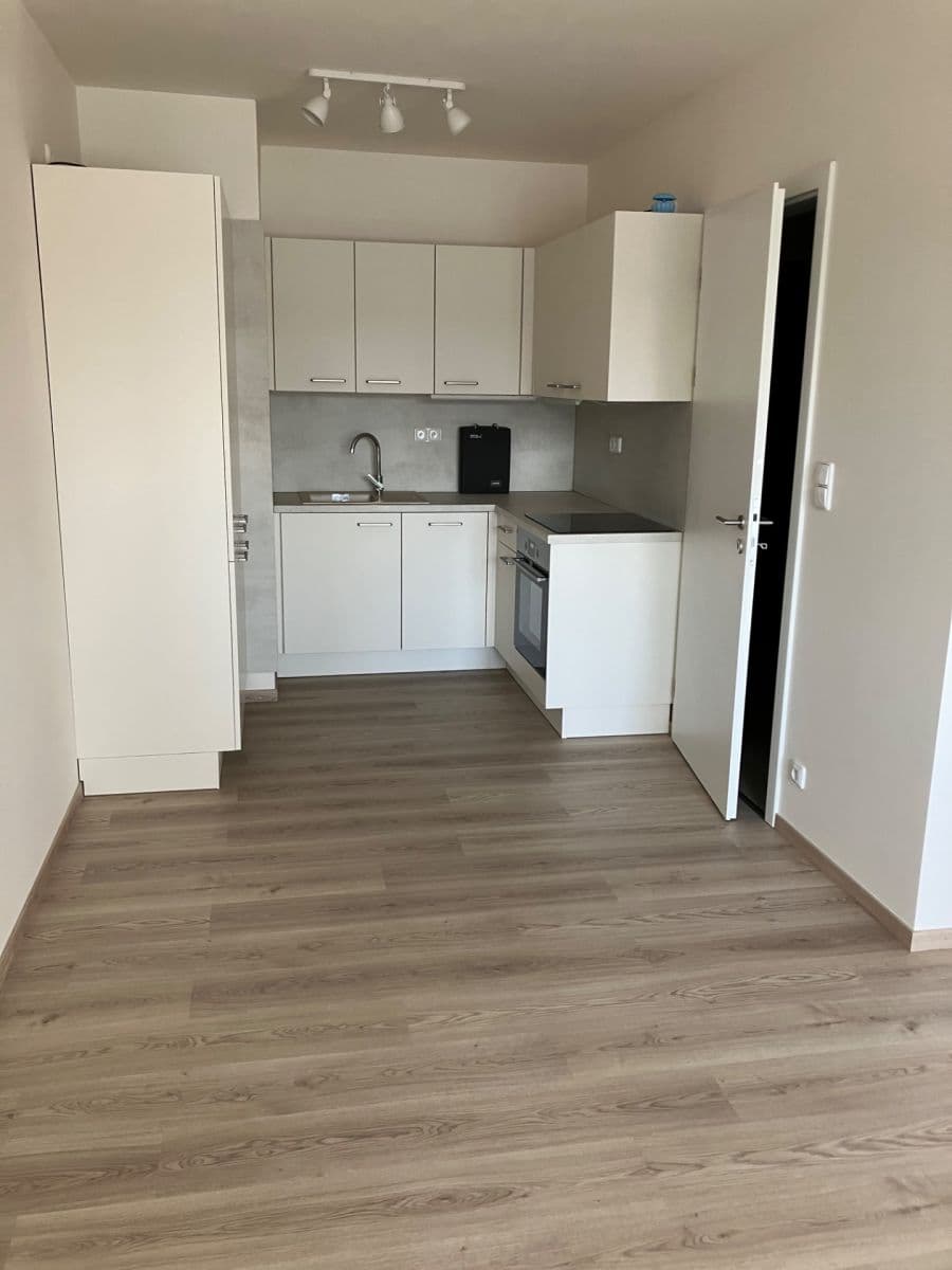 1 bedroom with open-plan kitchen flat for sale, 47 m², Pod Harfou, Prague, Prague 1 bedroom with open-plan kitchen flat for sale, 47 m², Pod Harfou, Prague, Prague
