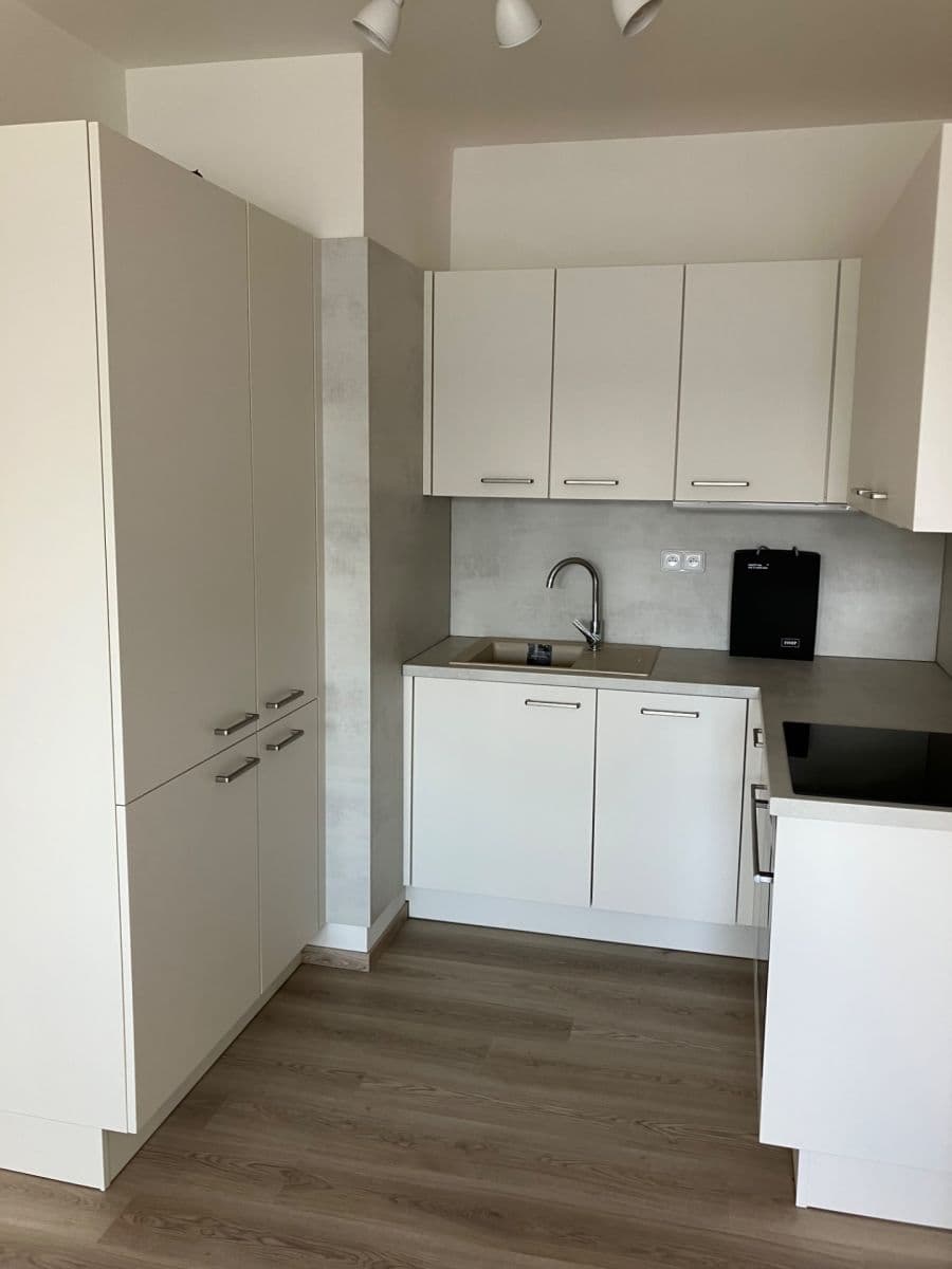 1 bedroom with open-plan kitchen flat for sale, 47 m², Pod Harfou, Prague, Prague 1 bedroom with open-plan kitchen flat for sale, 47 m², Pod Harfou, Prague, Prague