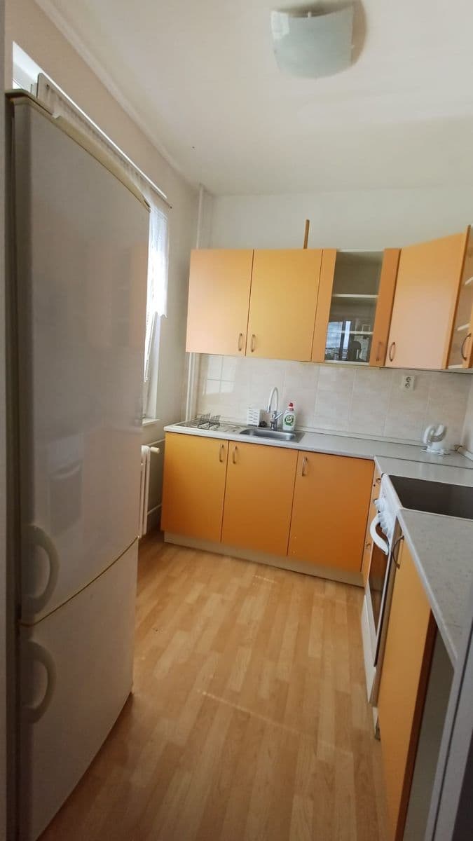1 bedroom with open-plan kitchen flat to rent, 42 m², Kostřínská, Prague, Prague 1 bedroom with open-plan kitchen flat to rent, 42 m², Kostřínská, Prague, Prague