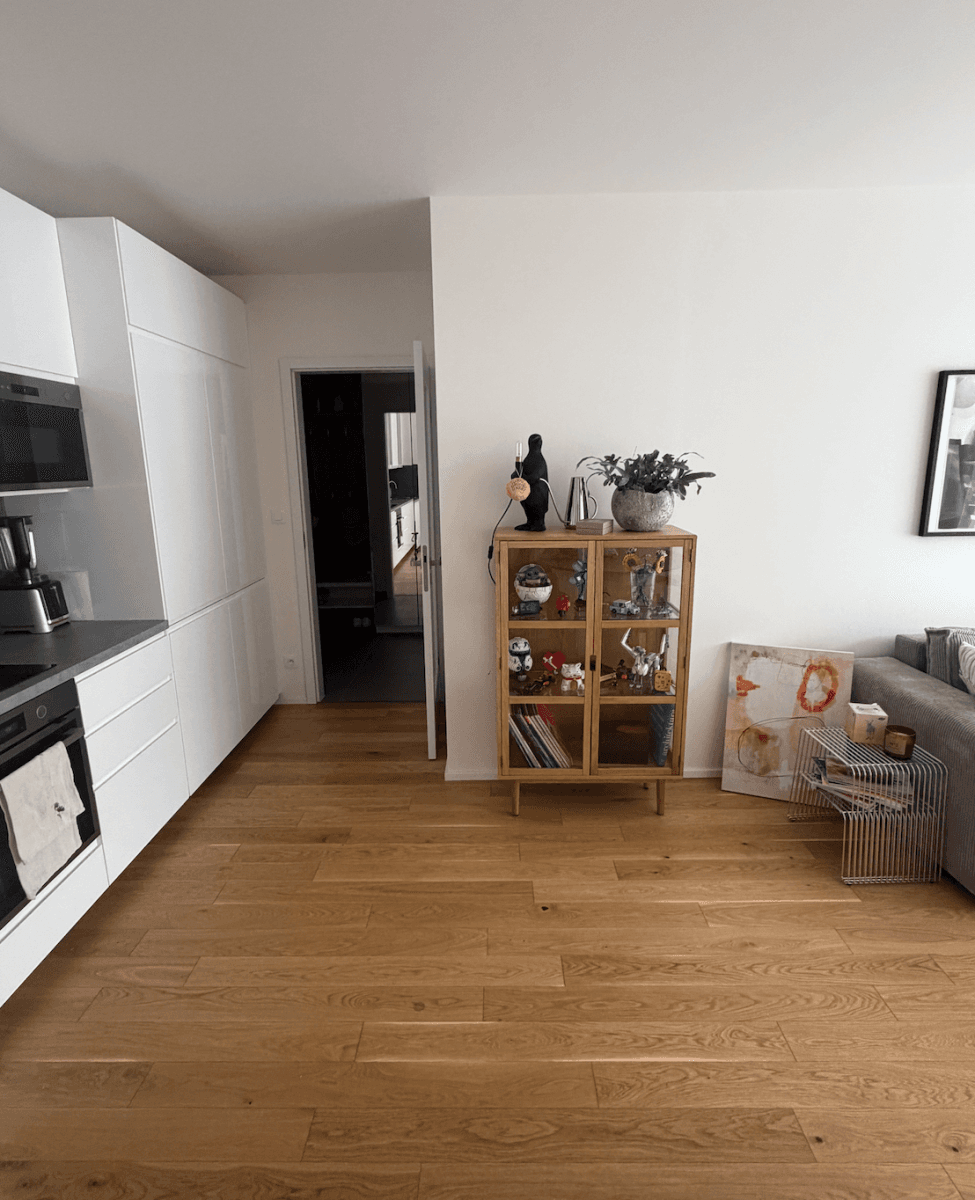 1 bedroom with open-plan kitchen flat to rent, 64 m², Toyen, Prague, Prague 1 bedroom with open-plan kitchen flat to rent, 64 m², Toyen, Prague, Prague