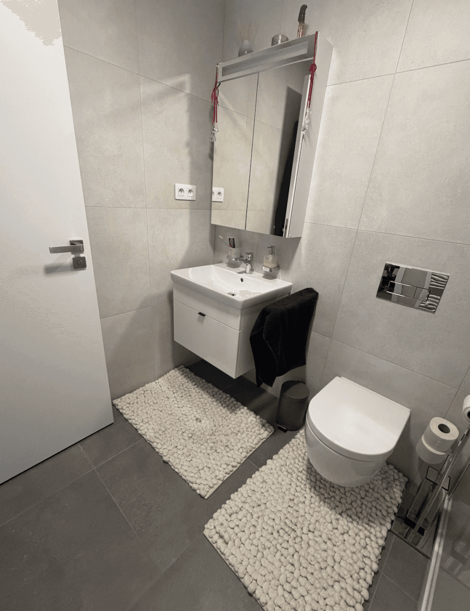 1 bedroom with open-plan kitchen flat to rent, 64 m², Toyen, Prague, Prague 1 bedroom with open-plan kitchen flat to rent, 64 m², Toyen, Prague, Prague
