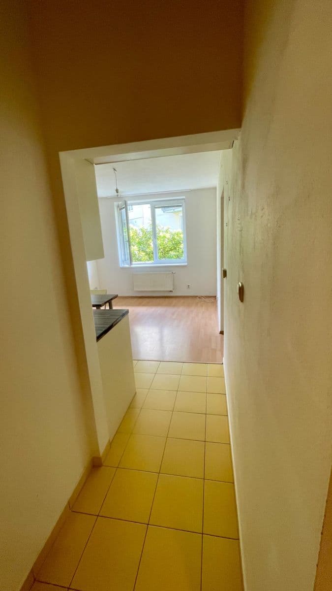 1 bedroom with open-plan kitchen flat to rent, 45 m², Hrázka, Brno, Jihomoravský Region 1 bedroom with open-plan kitchen flat to rent, 45 m², Hrázka, Brno, Jihomoravský Region