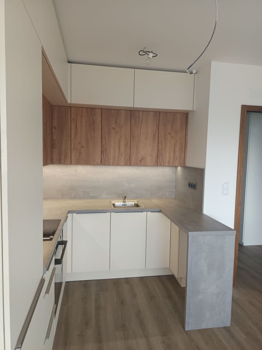 1 bedroom with open-plan kitchen flat to rent, 53 m², Brandýs nad Labem-Stará Boleslav, Středočeský Region 1 bedroom with open-plan kitchen flat to rent, 53 m², Brandýs nad Labem-Stará Boleslav, Středočeský Region