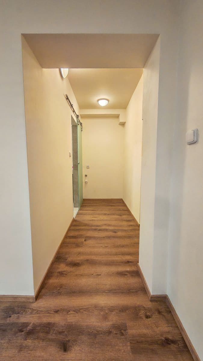 Studio flat to rent, 30 m², Lukešova, Prague, Prague Studio flat to rent, 30 m², Lukešova, Prague, Prague