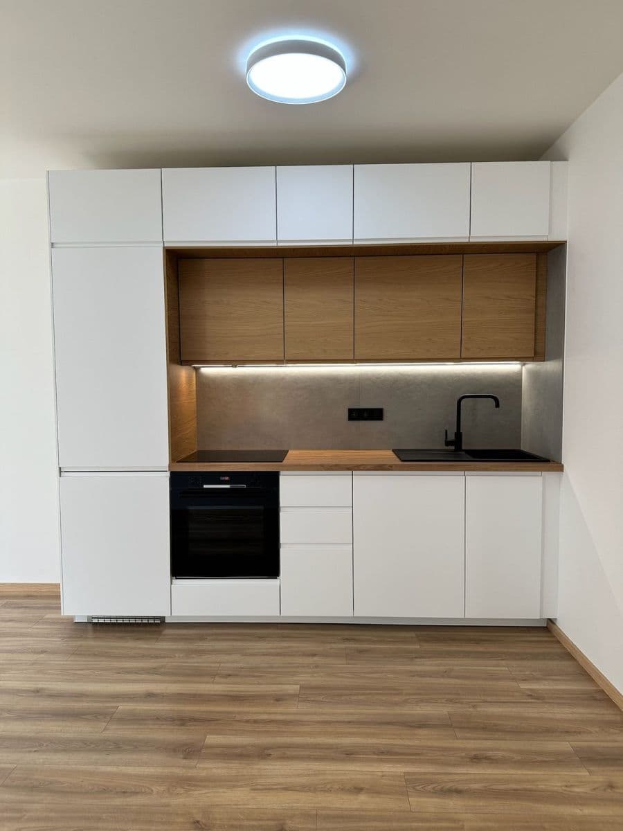 1 bedroom with open-plan kitchen flat to rent, 41 m², Starokošířská, Prague, Prague 1 bedroom with open-plan kitchen flat to rent, 41 m², Starokošířská, Prague, Prague