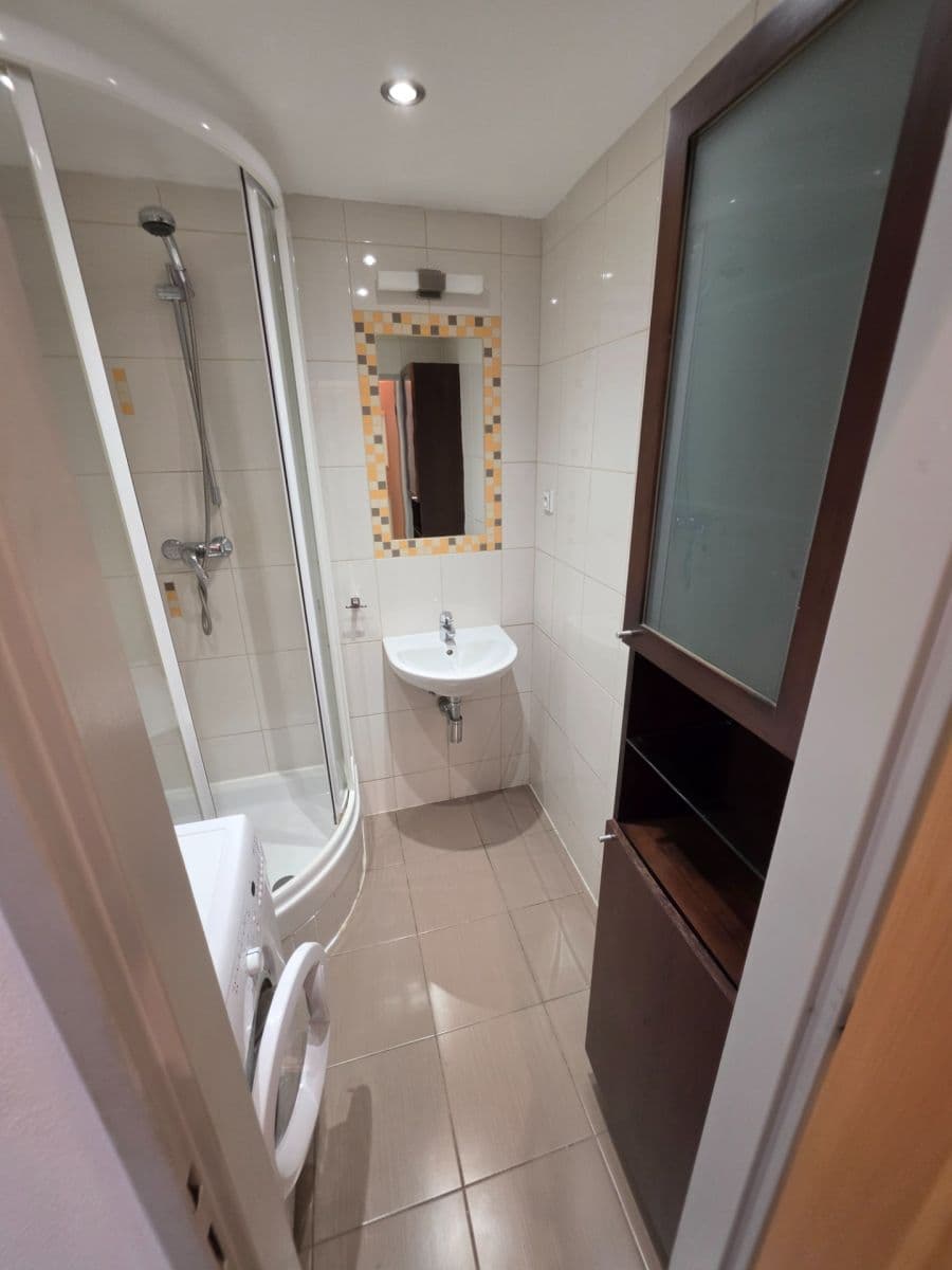Studio flat to rent, 40 m², Imrychova, Prague, Prague Studio flat to rent, 40 m², Imrychova, Prague, Prague