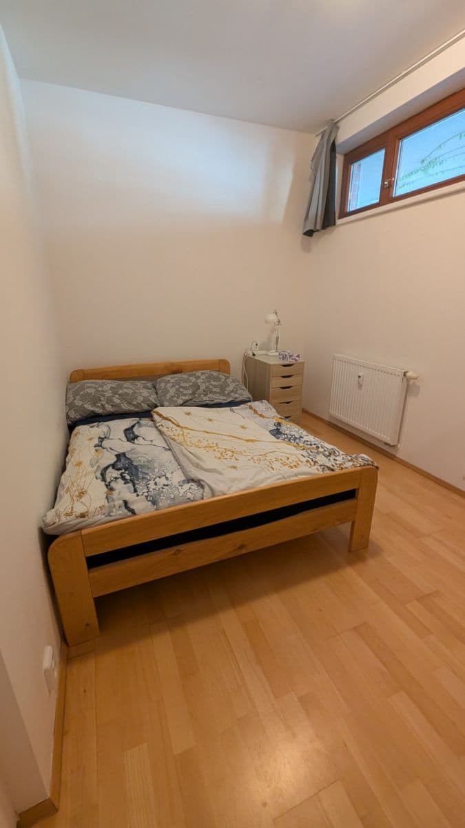1 bedroom with open-plan kitchen flat to rent, 43 m², Pod Kavalírkou, Prague, Prague 1 bedroom with open-plan kitchen flat to rent, 43 m², Pod Kavalírkou, Prague, Prague