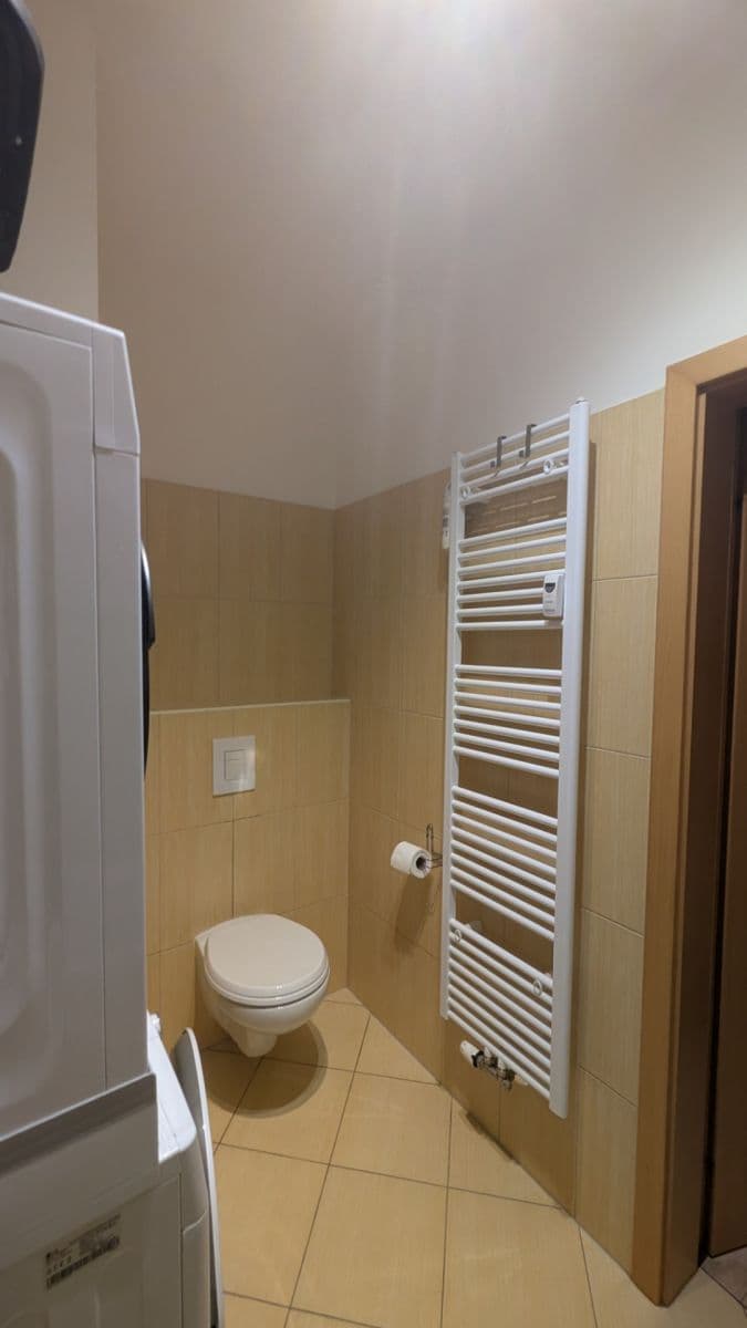 1 bedroom with open-plan kitchen flat to rent, 43 m², Pod Kavalírkou, Prague, Prague 1 bedroom with open-plan kitchen flat to rent, 43 m², Pod Kavalírkou, Prague, Prague