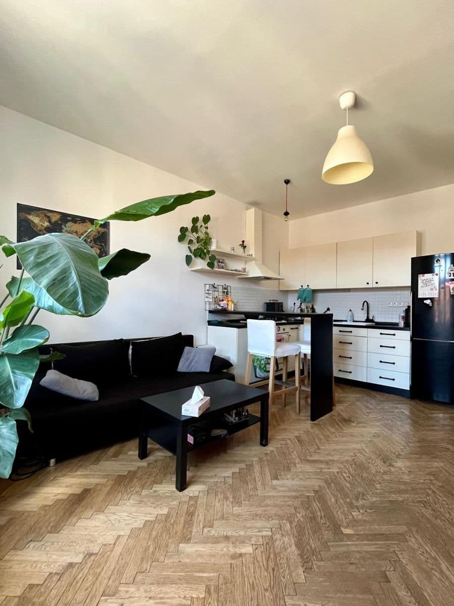 1 bedroom with open-plan kitchen flat to rent, 45 m², Mezivrší, Prague, Prague 1 bedroom with open-plan kitchen flat to rent, 45 m², Mezivrší, Prague, Prague