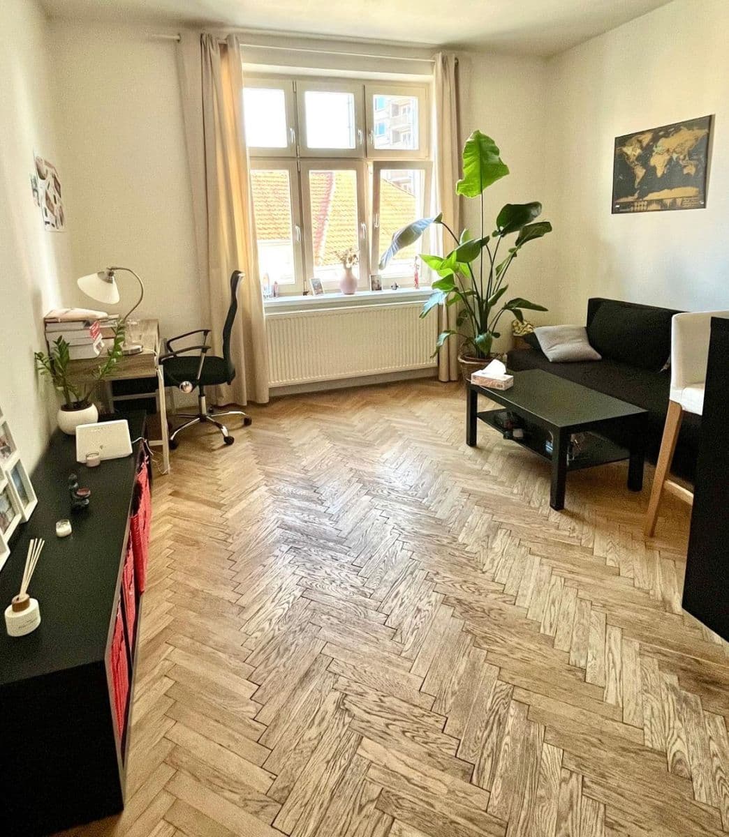 1 bedroom with open-plan kitchen flat to rent, 45 m², Mezivrší, Prague, Prague 1 bedroom with open-plan kitchen flat to rent, 45 m², Mezivrší, Prague, Prague