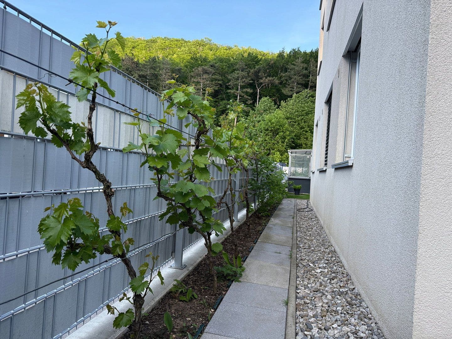 4 bedroom flat for sale, 88 m², Purkersdorf, Lower Austria 4 bedroom flat for sale, 88 m², Purkersdorf, Lower Austria