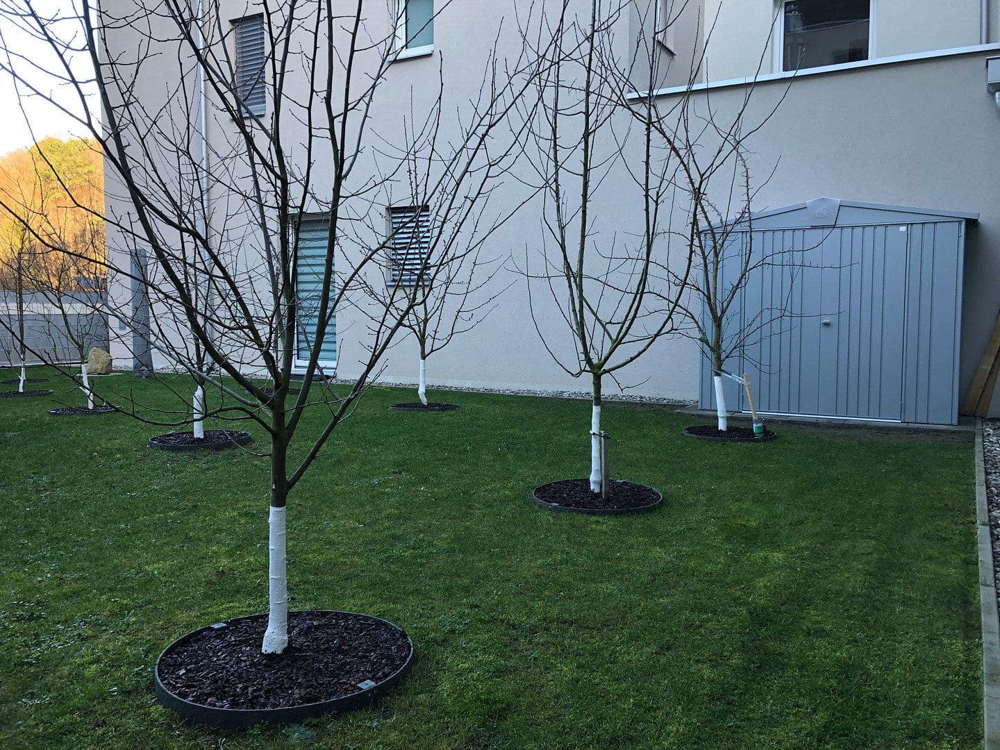 4 bedroom flat for sale, 88 m², Purkersdorf, Lower Austria 4 bedroom flat for sale, 88 m², Purkersdorf, Lower Austria