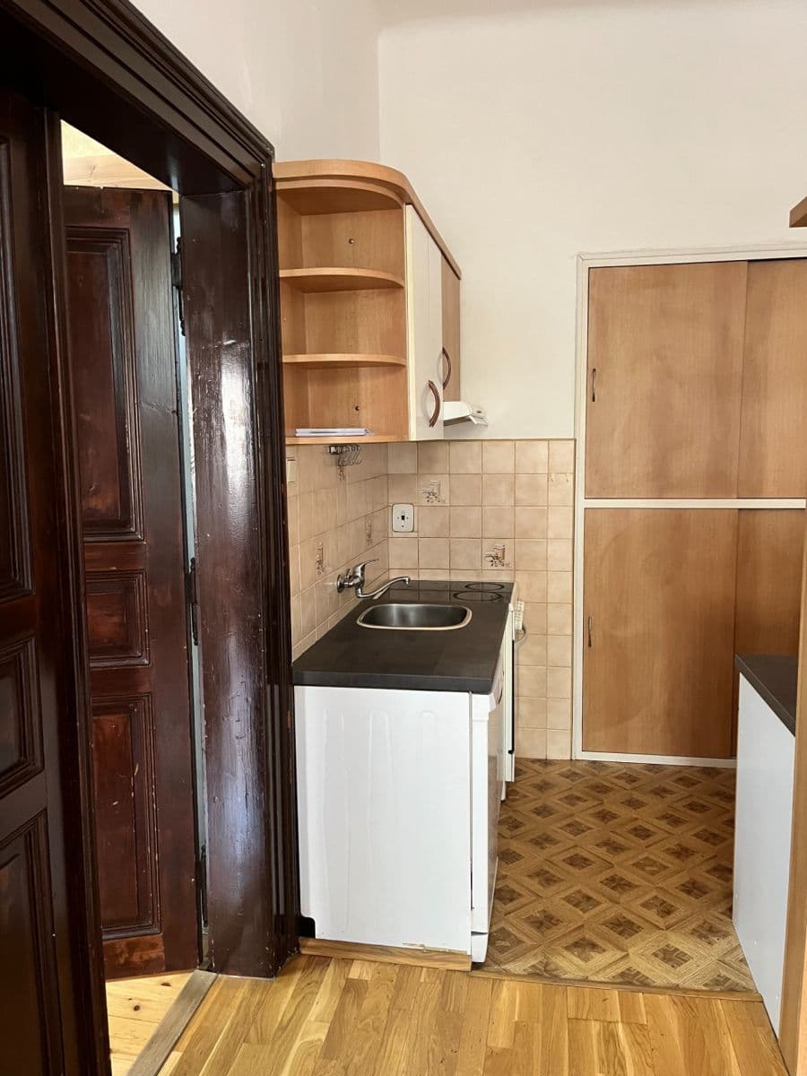 1 bedroom with open-plan kitchen flat to rent, 40 m², U Santošky, Prague, Prague 1 bedroom with open-plan kitchen flat to rent, 40 m², U Santošky, Prague, Prague