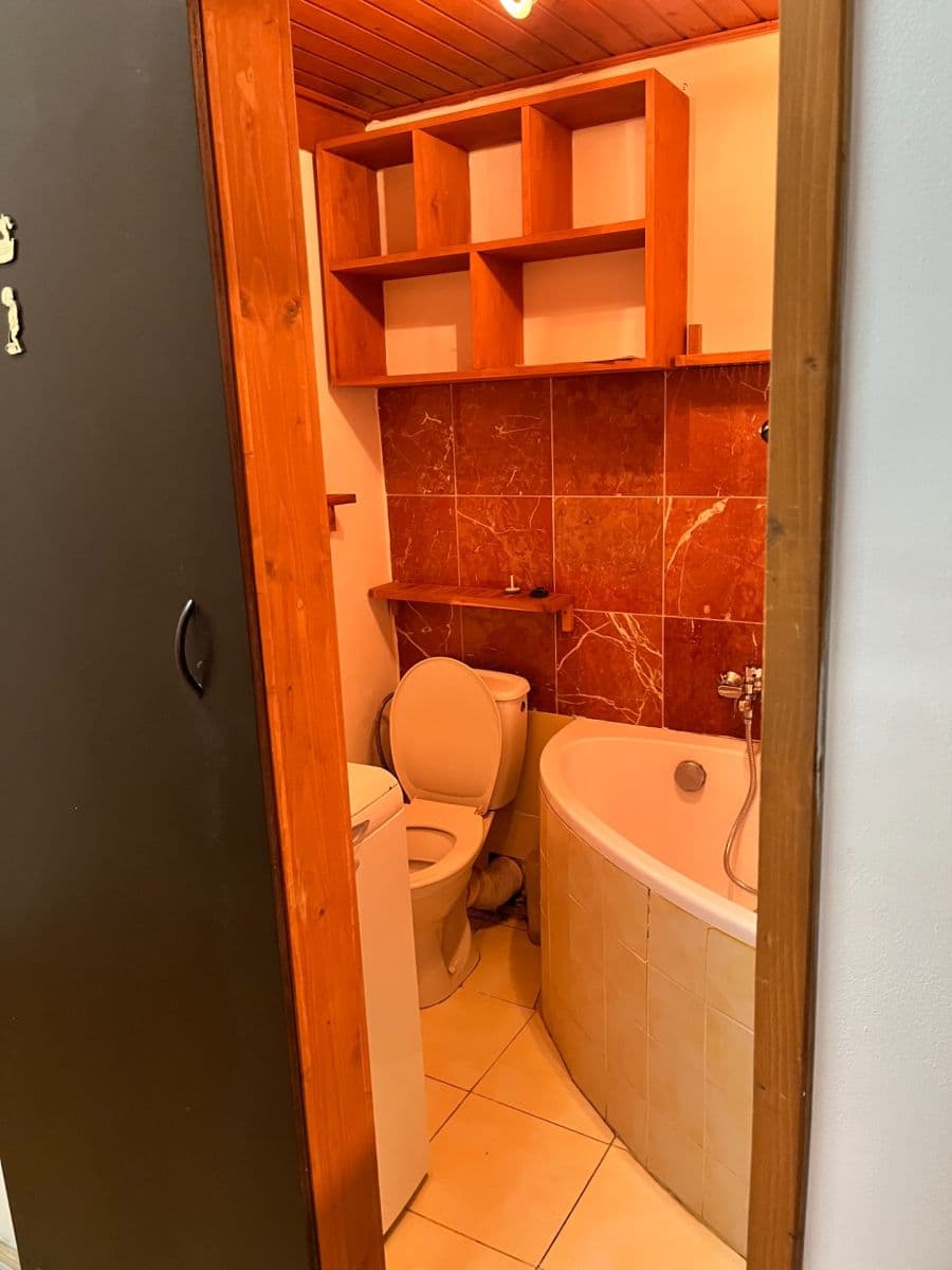 1 bedroom with open-plan kitchen flat to rent, 40 m², U Santošky, Prague, Prague 1 bedroom with open-plan kitchen flat to rent, 40 m², U Santošky, Prague, Prague