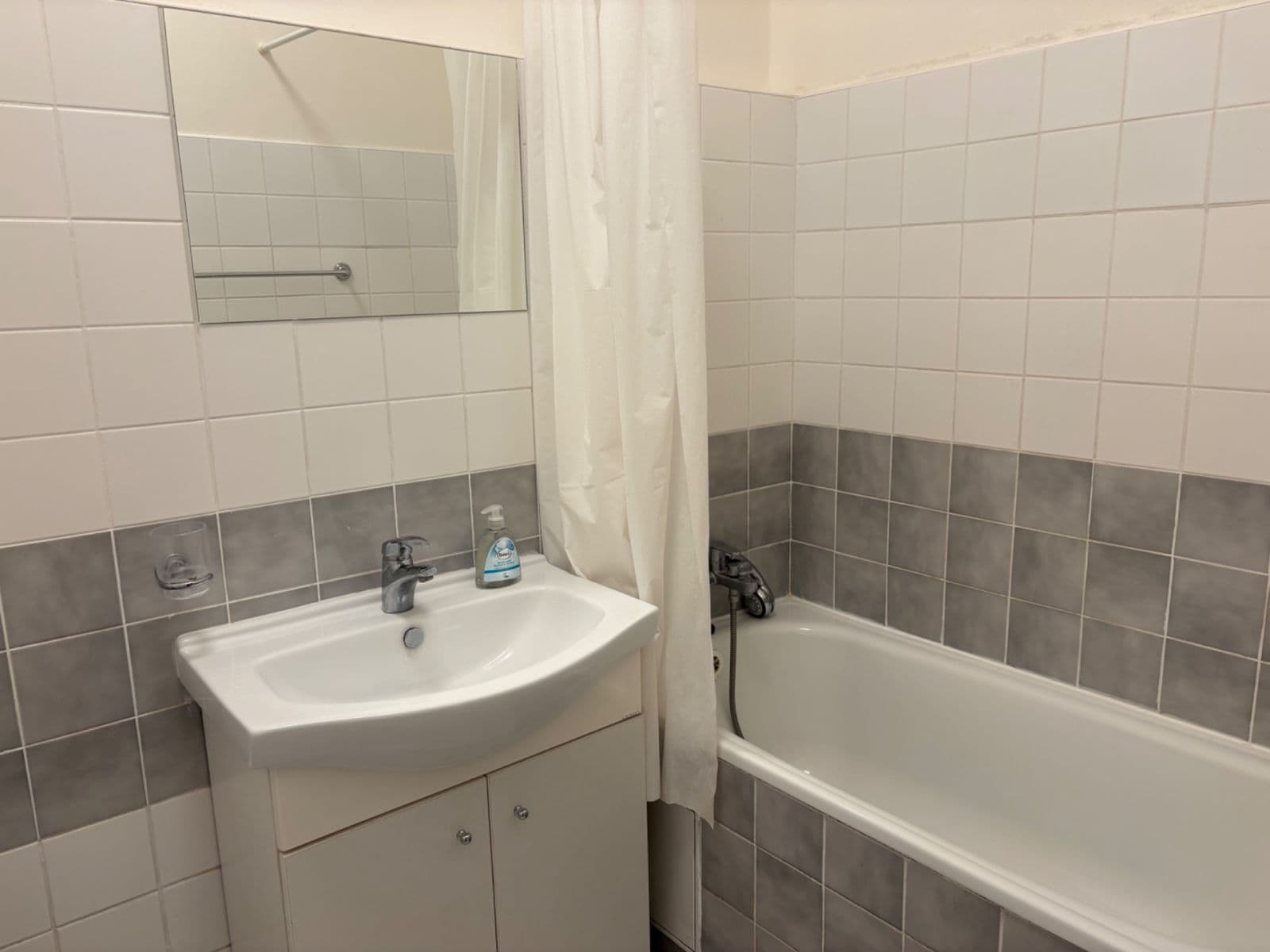 1 bedroom with open-plan kitchen flat to rent, 50 m², Veverkova, Prague, Prague 1 bedroom with open-plan kitchen flat to rent, 50 m², Veverkova, Prague, Prague