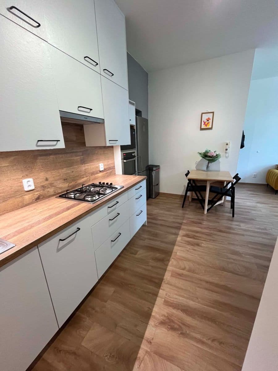 2 bedroom with open-plan kitchen flat for sale, 63 m², Dlouhá, Veverská Bítýška, Jihomoravský Region 2 bedroom with open-plan kitchen flat for sale, 63 m², Dlouhá, Veverská Bítýška, Jihomoravský Region