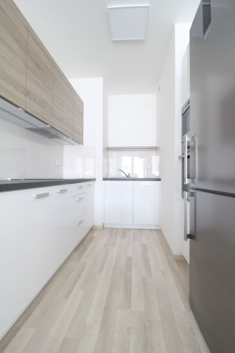 1 bedroom with open-plan kitchen flat to rent, 55 m², Do zahrádek I, Prague, Prague 1 bedroom with open-plan kitchen flat to rent, 55 m², Do zahrádek I, Prague, Prague
