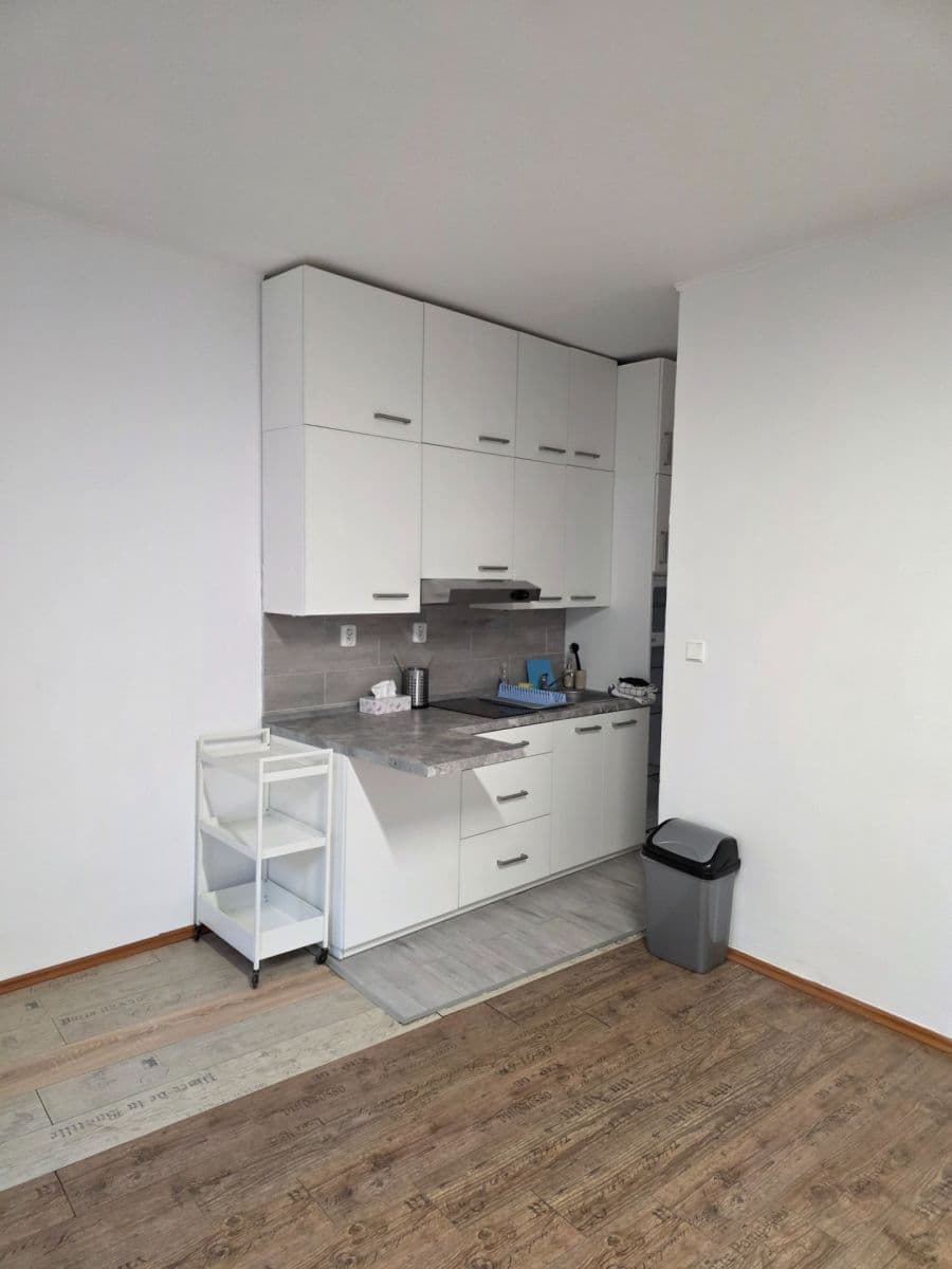 Studio flat to rent, 34 m², Lásenická, Prague, Prague Studio flat to rent, 34 m², Lásenická, Prague, Prague