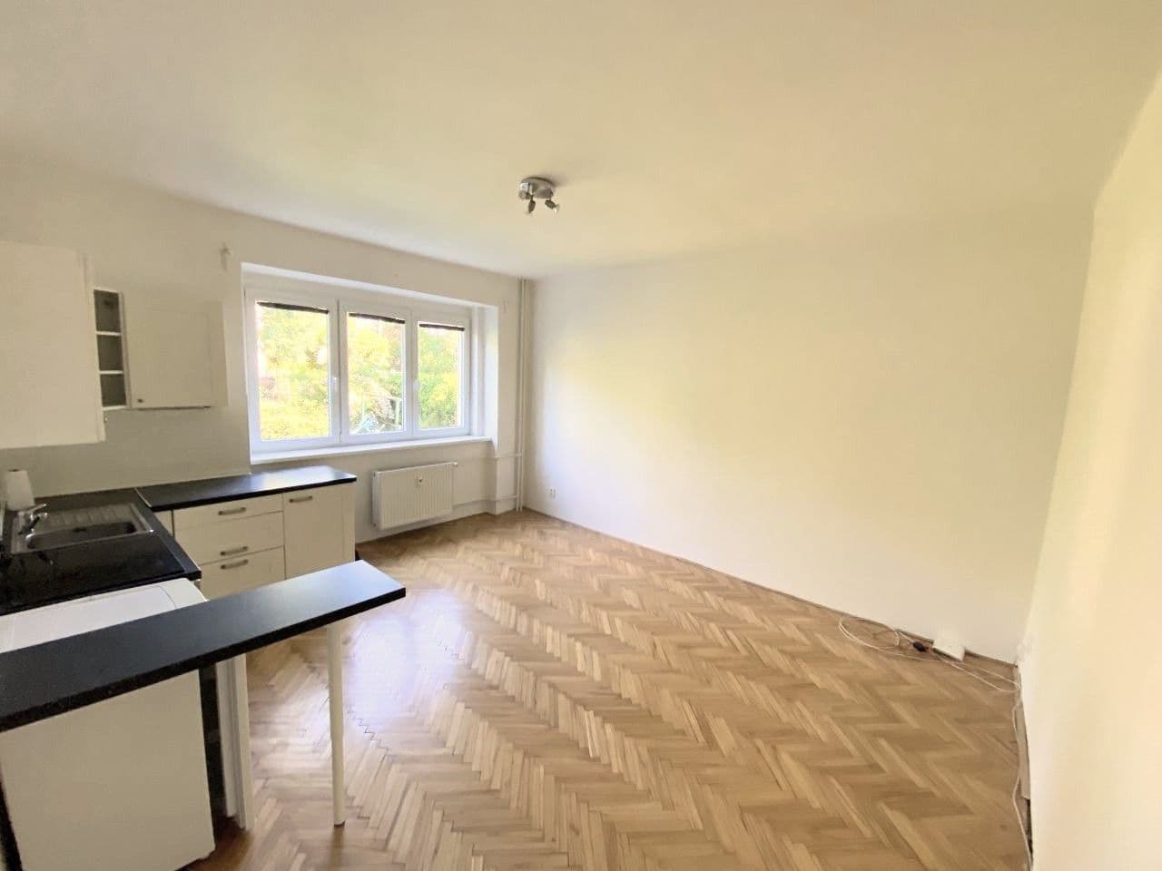 1 bedroom with open-plan kitchen flat for sale, 41 m², Šestidomí, Prague, Prague 1 bedroom with open-plan kitchen flat for sale, 41 m², Šestidomí, Prague, Prague