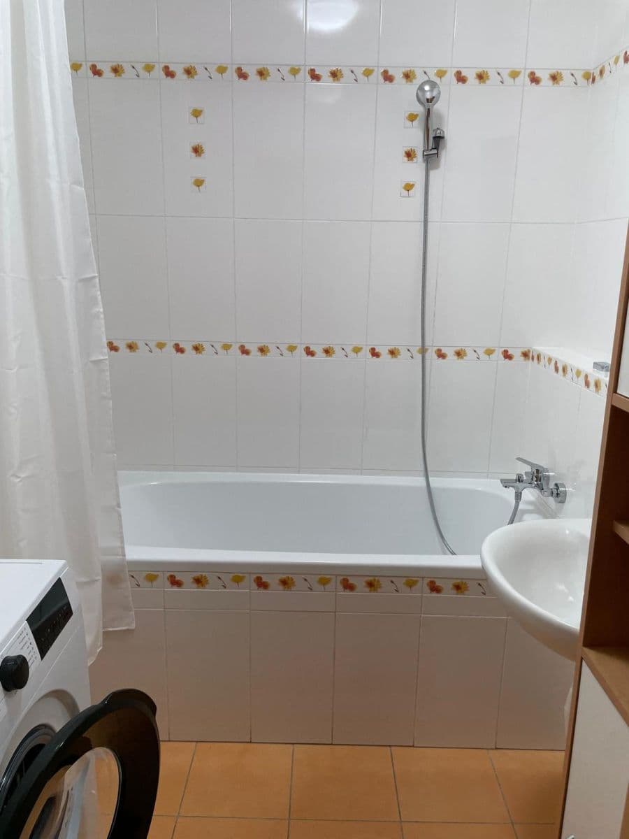 1 bedroom with open-plan kitchen flat to rent, 52 m², Dělená, Prague, Prague 1 bedroom with open-plan kitchen flat to rent, 52 m², Dělená, Prague, Prague