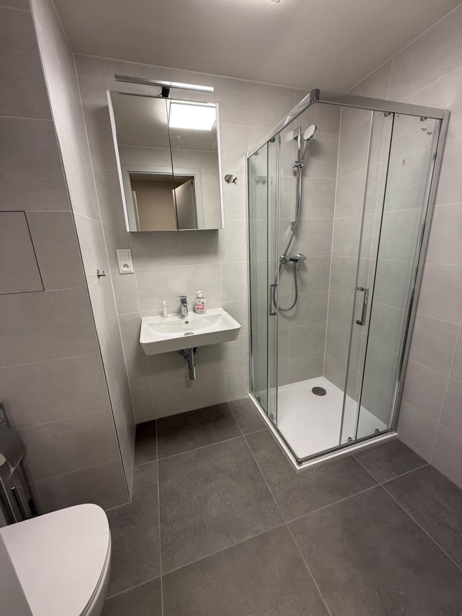 Studio flat to rent, 33 m², Jáchymovská, Prague, Prague Studio flat to rent, 33 m², Jáchymovská, Prague, Prague