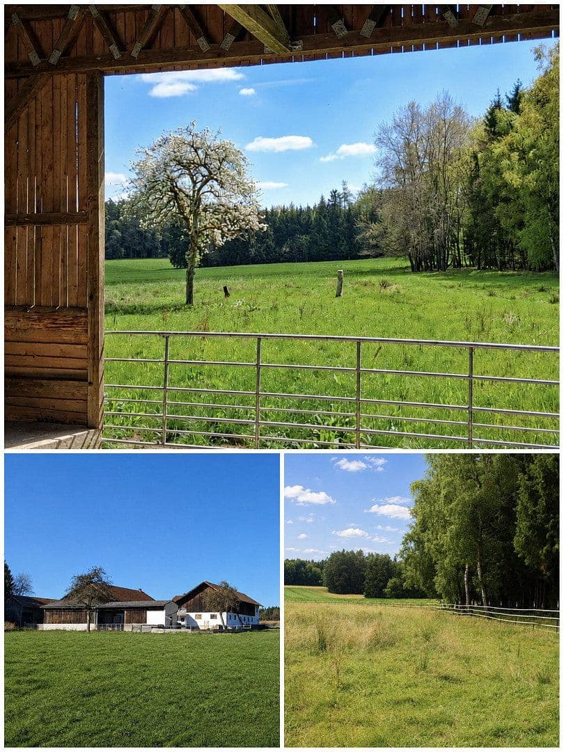 house for sale, 147 m², Egglham, Bavaria house for sale, 147 m², Egglham, Bavaria