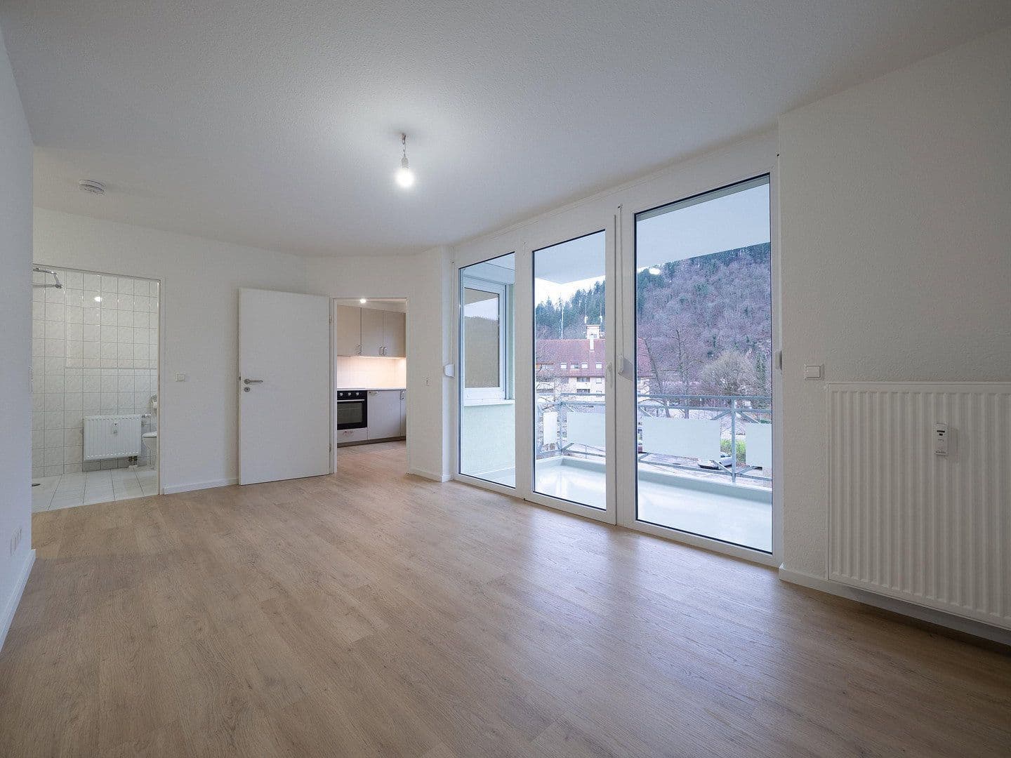 Studio flat to rent, 45 m², Waldkirch, Baden-Württemberg Studio flat to rent, 45 m², Waldkirch, Baden-Württemberg