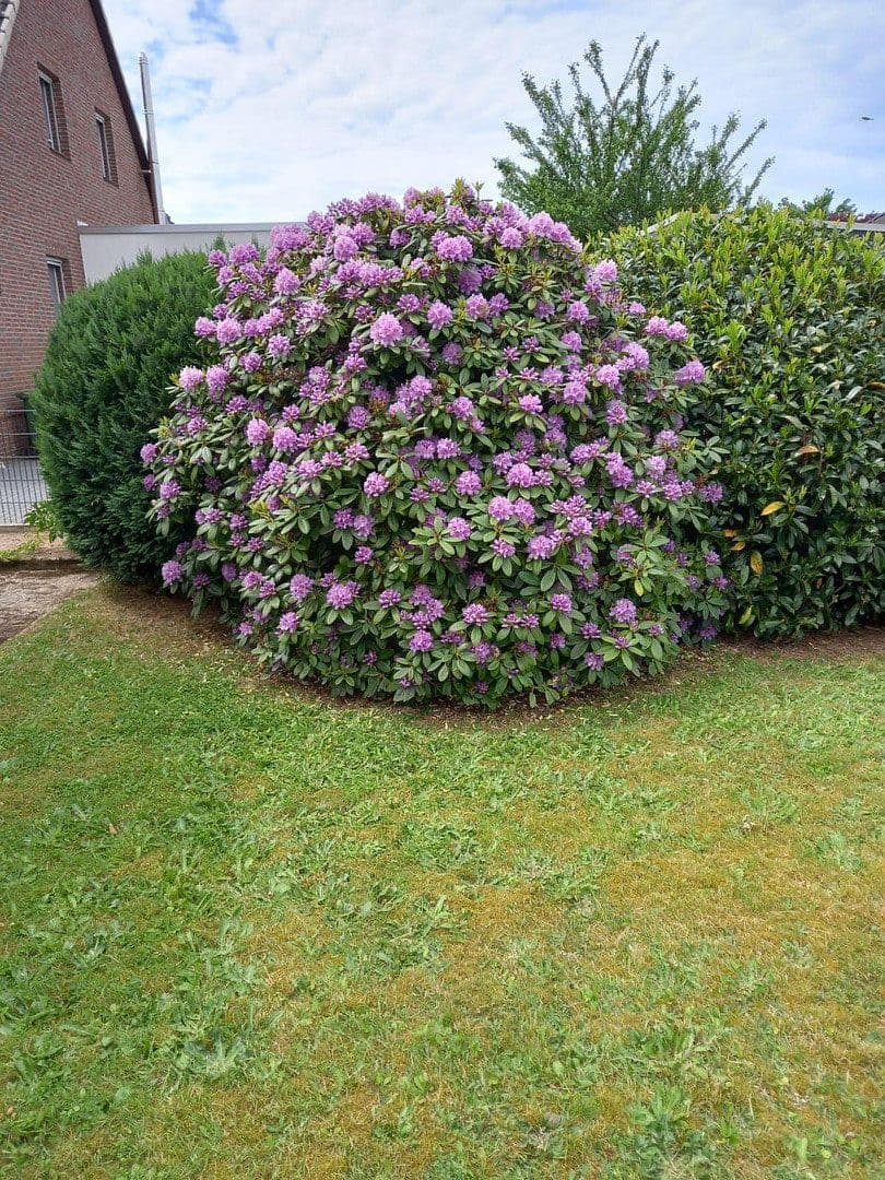house for sale, 155 m², Wolfsburg, Lower Saxony house for sale, 155 m², Wolfsburg, Lower Saxony