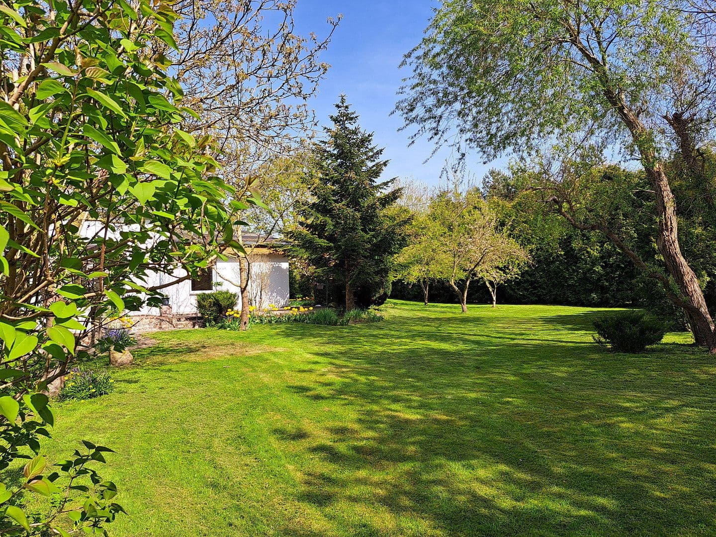 plot for sale, 1,220 m², Parkstraße 7, Velgast, Mecklenburg-Vorpommern plot for sale, 1,220 m², Parkstraße 7, Velgast, Mecklenburg-Vorpommern