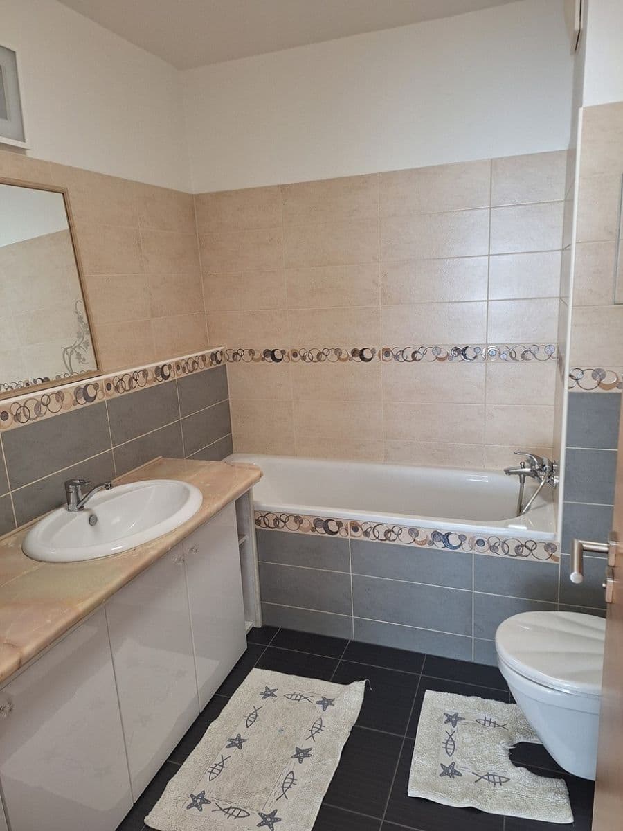 1 bedroom with open-plan kitchen flat to rent, 60 m², Sousedíkova, Prague, Prague 1 bedroom with open-plan kitchen flat to rent, 60 m², Sousedíkova, Prague, Prague